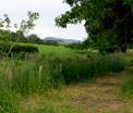 Walton's Farm Cottages